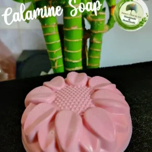 Calamine Clay Soap (80gms)